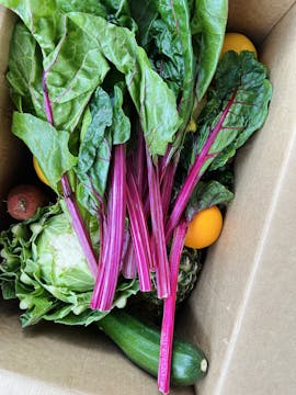 Oddbox image