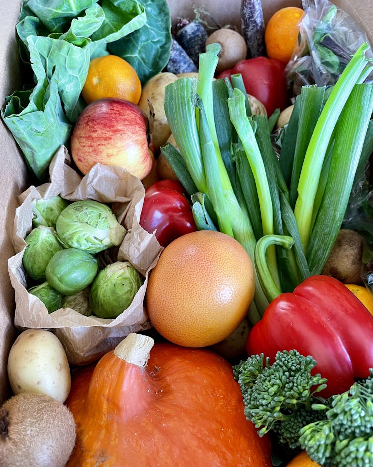 Box of vegetables, including sprouts, grapefruit, spring onions, peppers and squash.