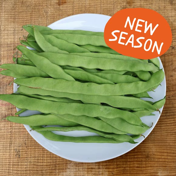 British Runner Beans