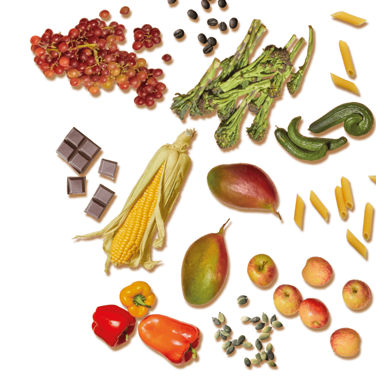 Fruits and Vegetables