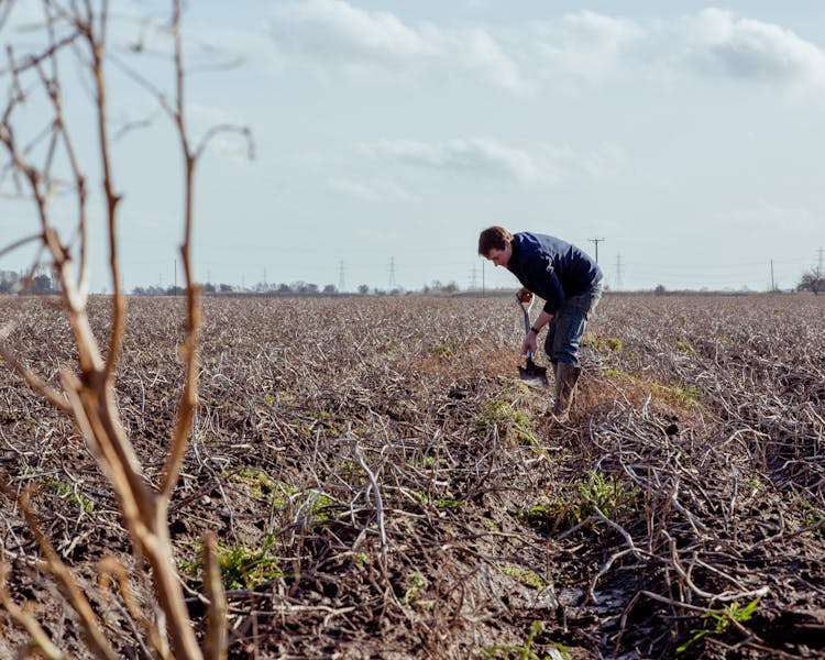 A grower works on a crop.