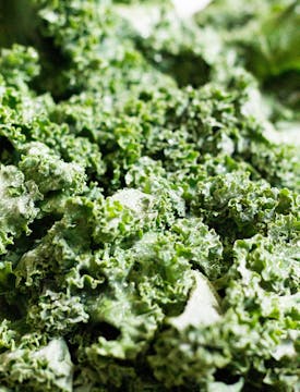 Fresh kale