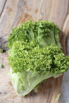 image of lettuce