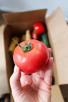 Oddbox image