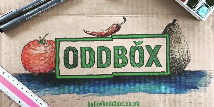 Oddbox logo drawing with paint