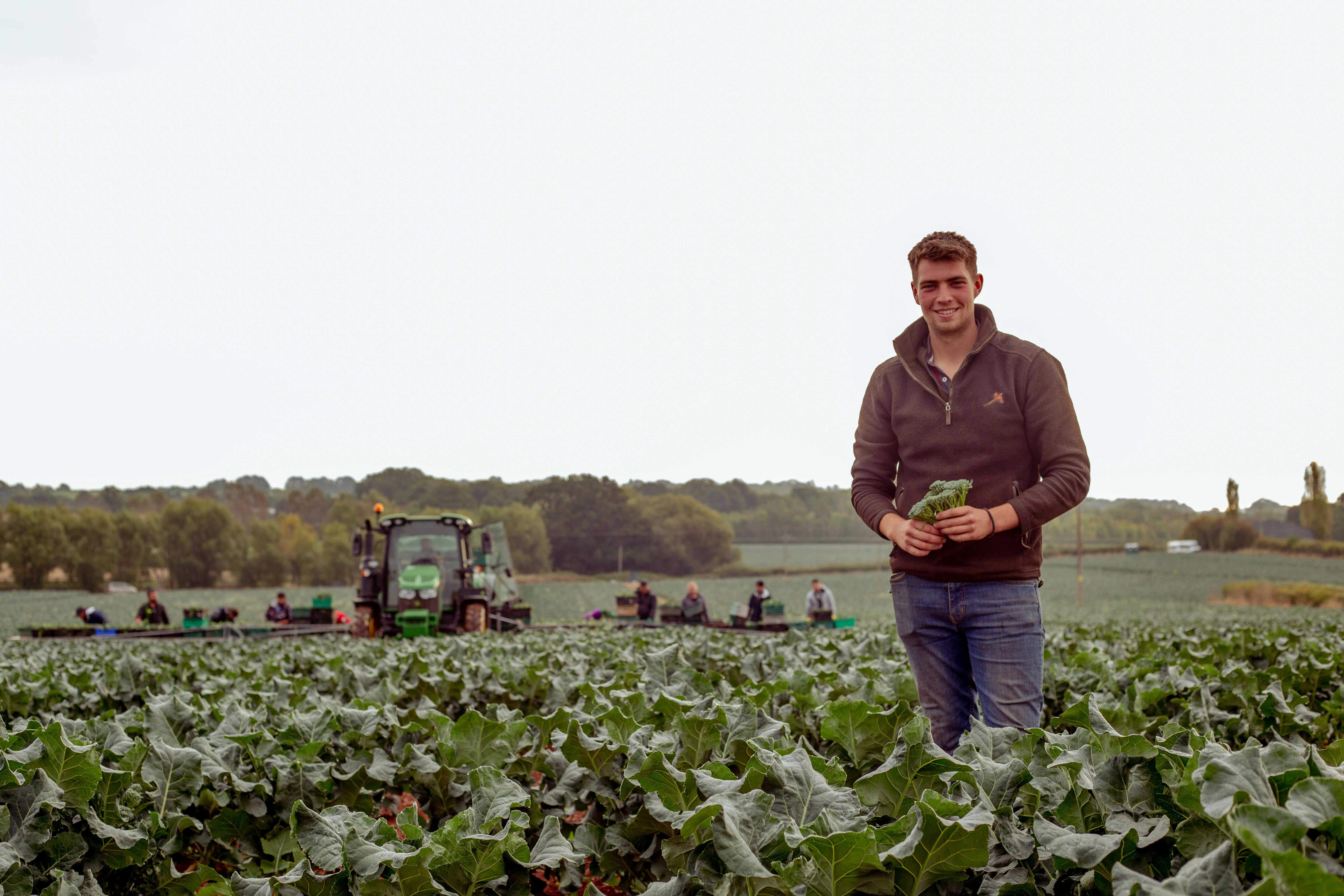 farmer harvesting crops in a field