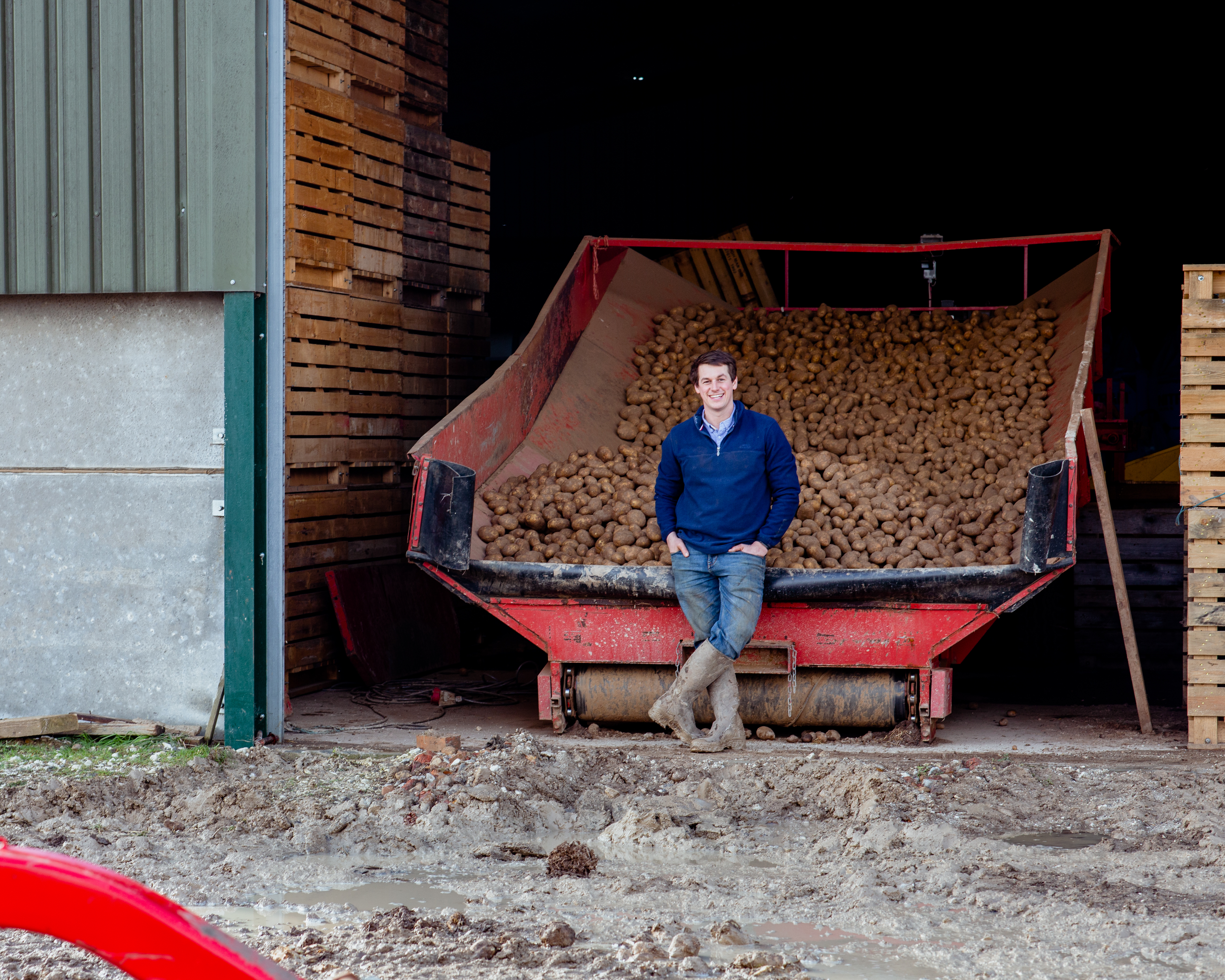 Grower with lots of potatoes