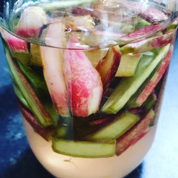 A rhubarb gin cocktail made by @Isabinkle on Instagram.