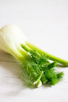 A whole fennel on a white table. 