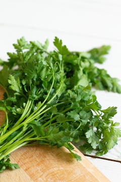 coriander bunch on a chopping board