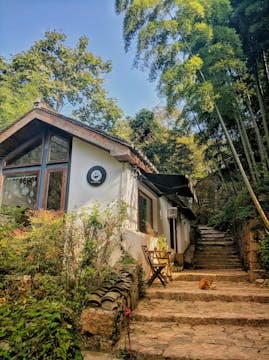 stairs which leads to holiday house surrounded my trees and flowers