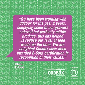 image of bcorp quotation 1