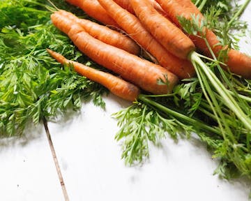 A pile of whole carrots with the tops on.