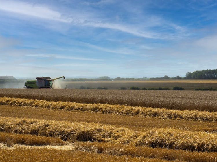 Tractor in field