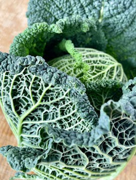 cabbage leaves