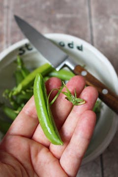 sugar snap in hand