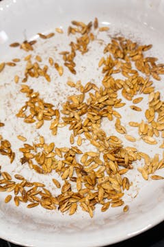 melon seeds in baking dish 