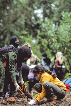 A group of volunteers planting a tree.