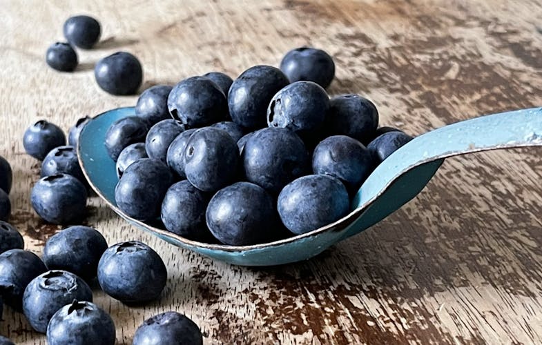Blueberrys
