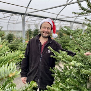 man wearing a Santa hat surrounded by christmas trees