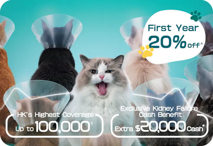 OneDegree HK