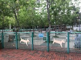 大埔 廣福公園