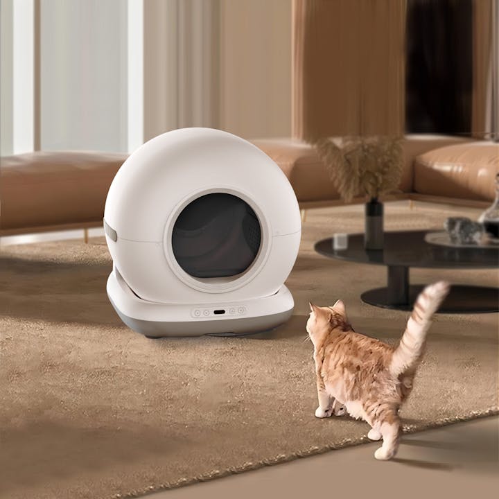 OneDegree HK