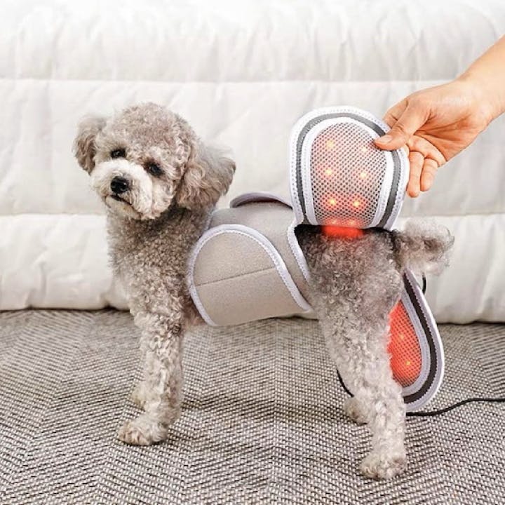 OneDegree HK