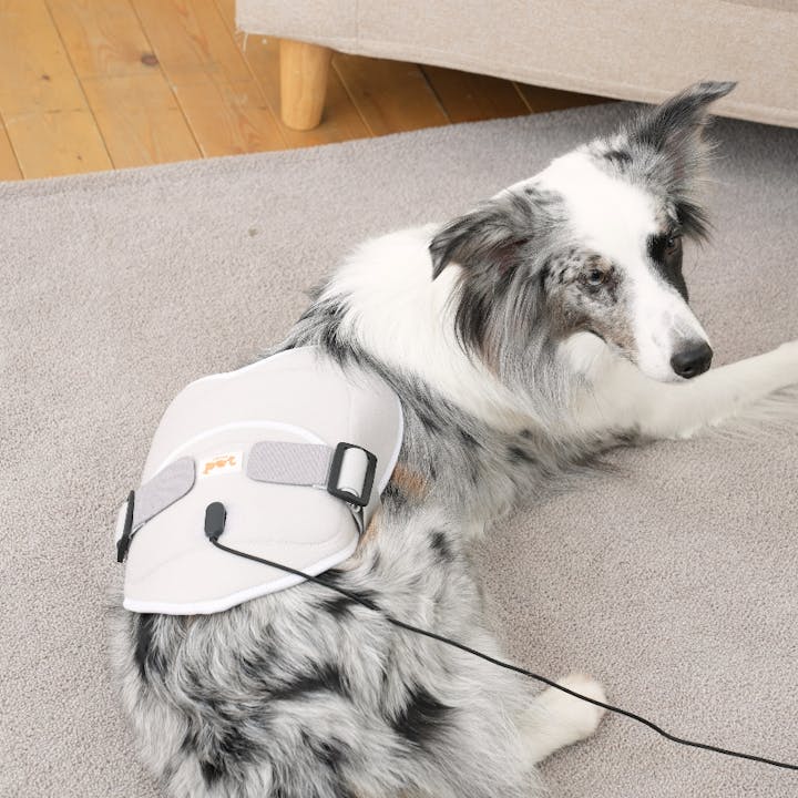 OneDegree HK