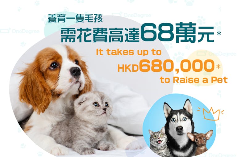 Hong Kong Pet Spending Survey: The Cost of Pet Ownership Can Reach Up to HK$680,000