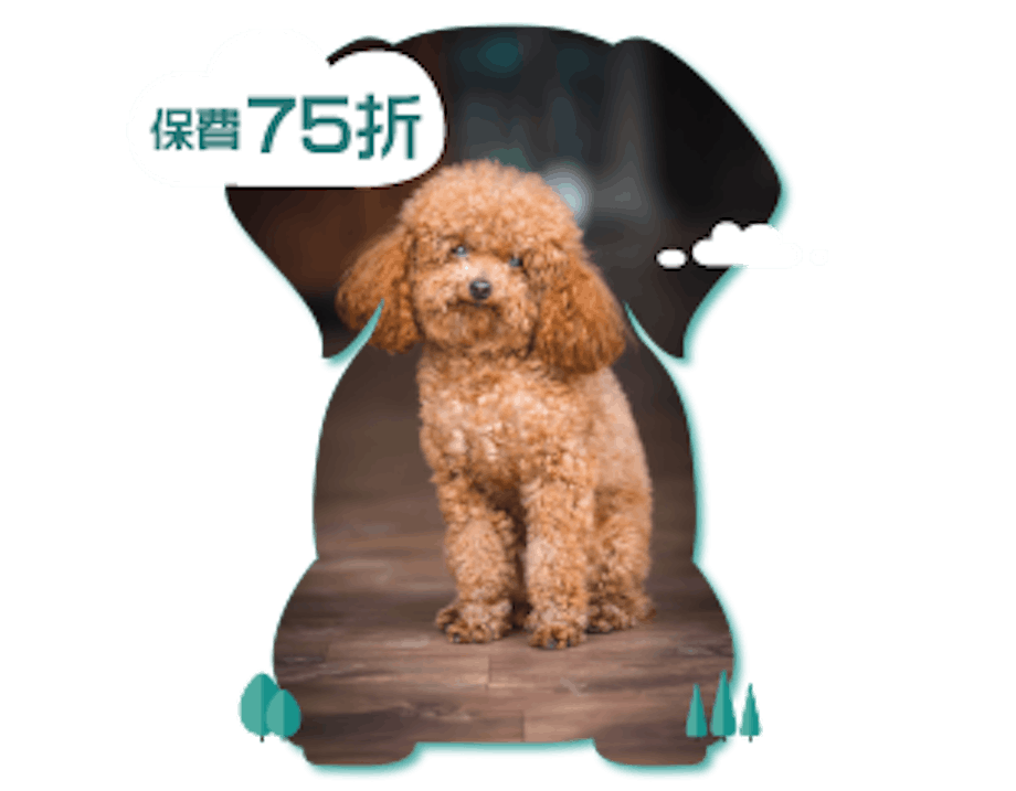 OneDegree HK