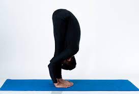 yoga Standing Forward Bend Uttanasana