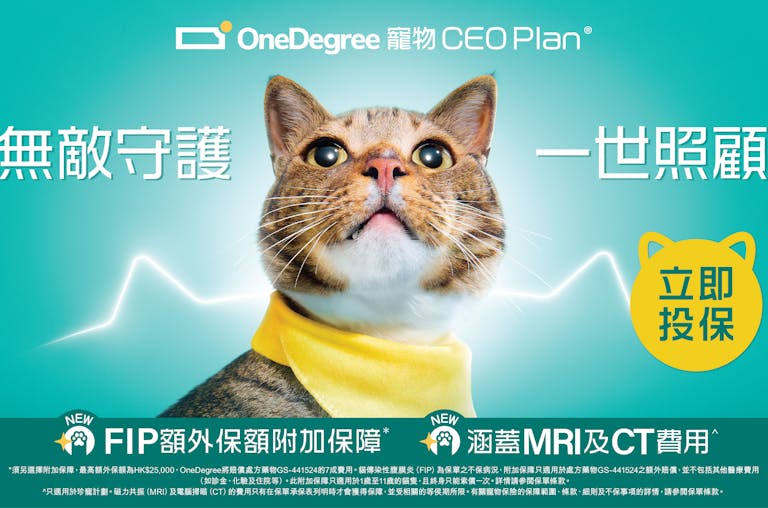 OneDegree寵物CEO Plan® 雙重升級 獨家FIP額外保額附加保障 新增珍寵計劃涵蓋MRI及CT費用 為寵物提供「無敵守護  一世照顧」的醫療保障 