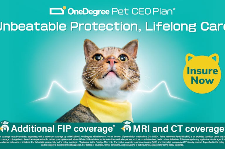 OneDegree Pet CEO Plan® Double Upgrade Exclusive Additional Feline Infectious Peritonitis (FIP) coverage 
New Prestige Plan Covering MRI and CT Costs Providing Pets with “Unbeatable Protection, Lifelong Care” Medical Coverage