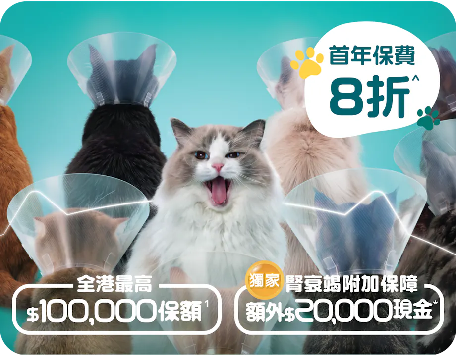 OneDegree HK