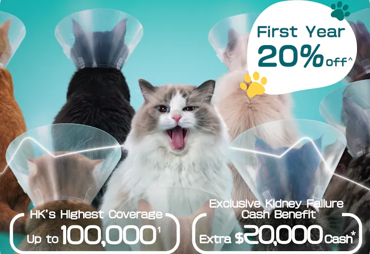 OneDegree HK