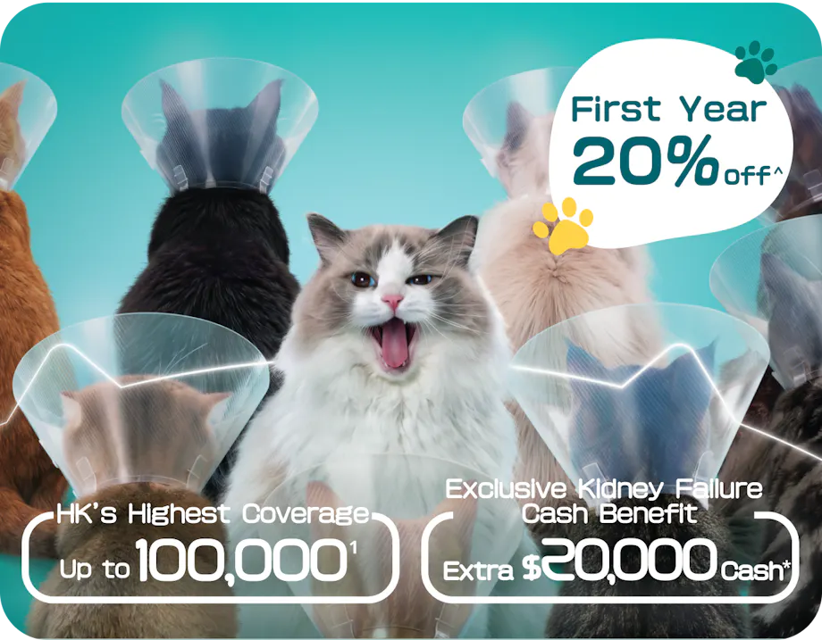 OneDegree HK