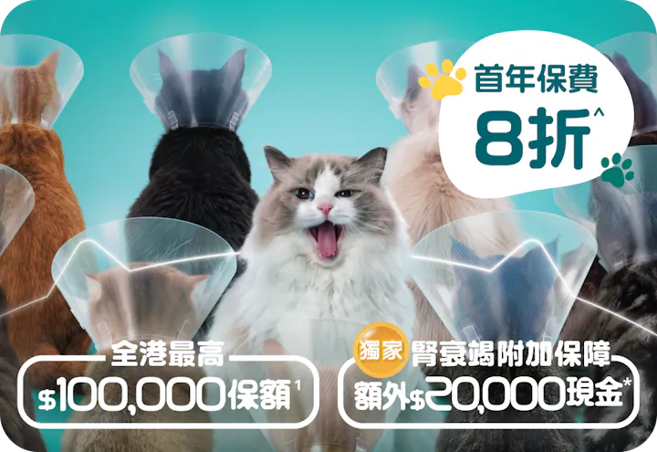 OneDegree HK