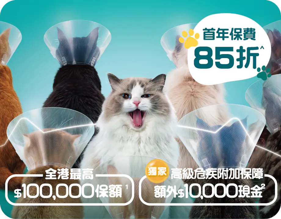 OneDegree HK