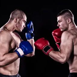 homens lutando na ufc na claro