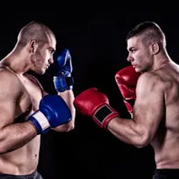 homens lutando na ufc na claro