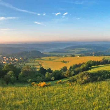 Wiesenlandschaft im Hunsrück  