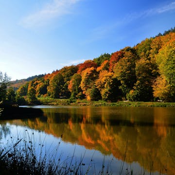 Indian summer in Taunus (Germany)