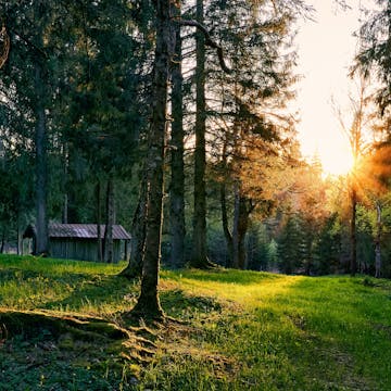 Hut in Upper Bavaria at sunrise