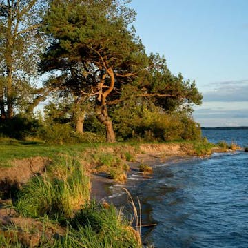 Shoreline on usedom island