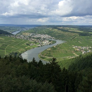 Trier at the river Mosel 