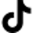 TikTok Icon