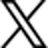 X Icon