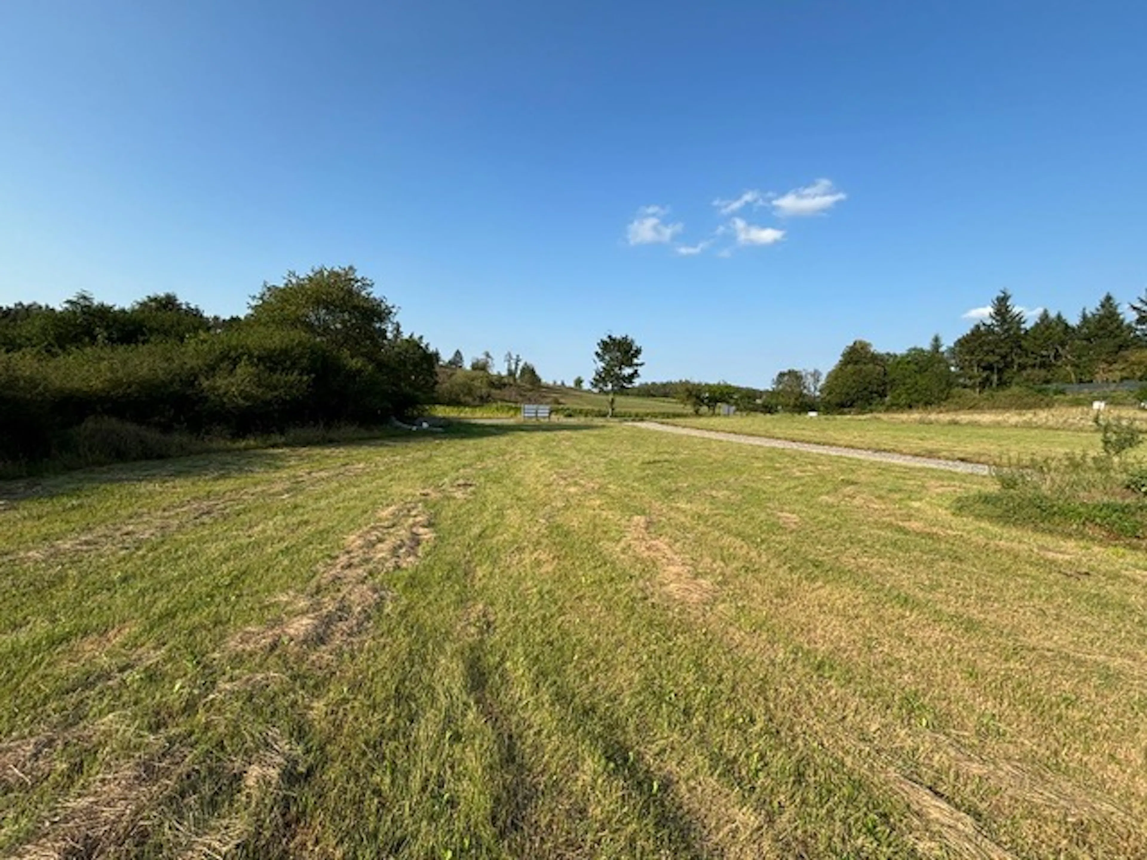 Klenovice - pozemek