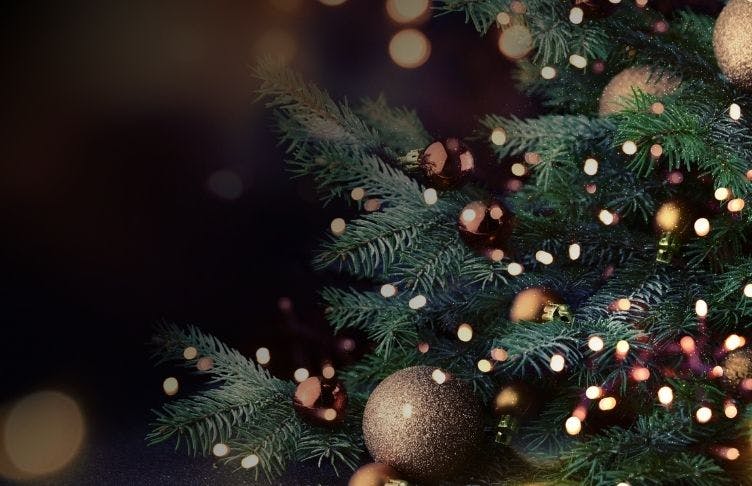Close up of Pre-Lit Christmas Tree